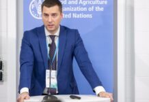 Виктор Смаль назначен руководителем Государственного агентства лесных ресурсов