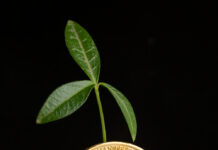 Онлайн-обмінники криптовалют: швидко, зручно та безпечно